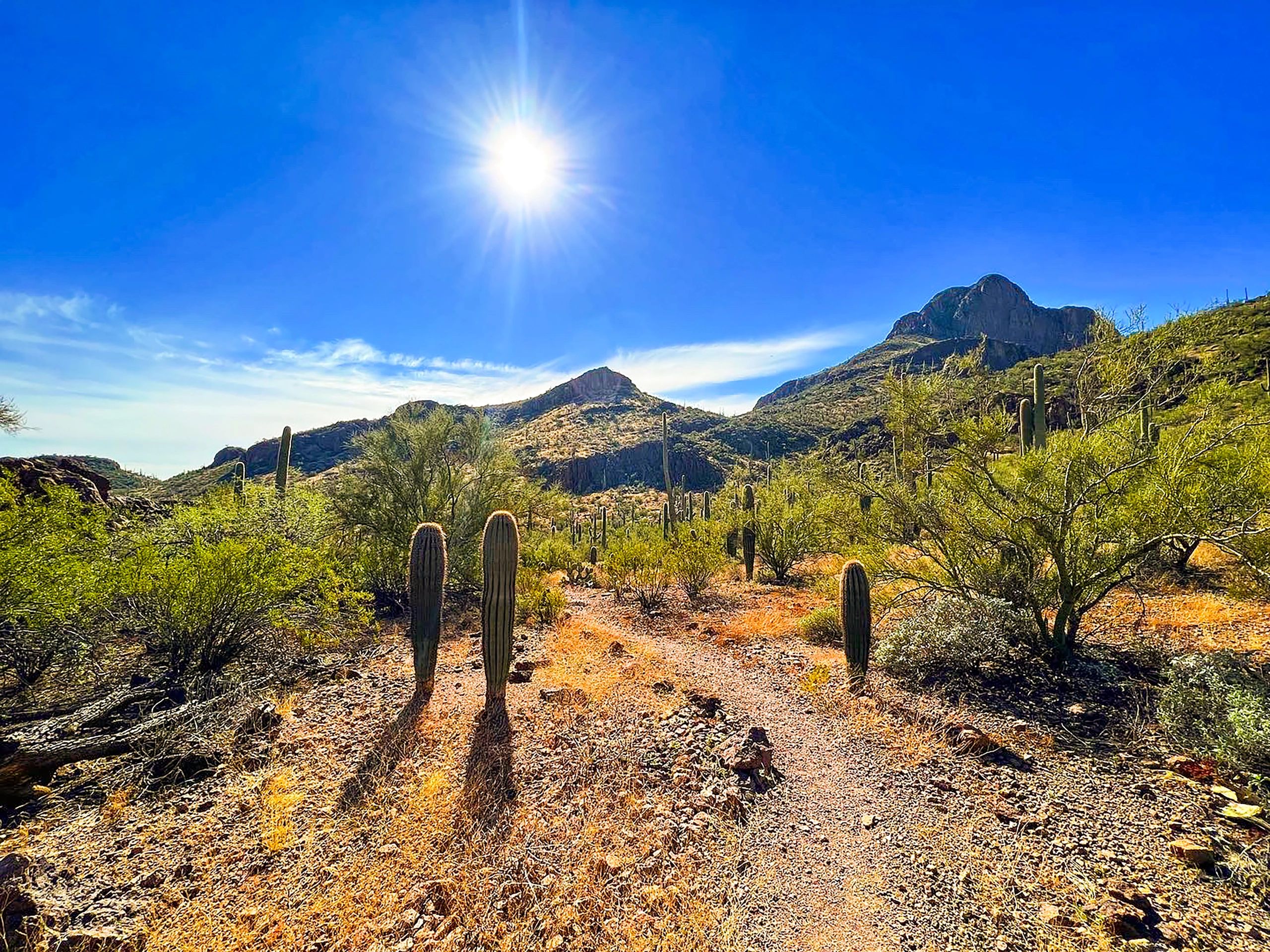 Arizona desert and mountain view near Queen Creek region