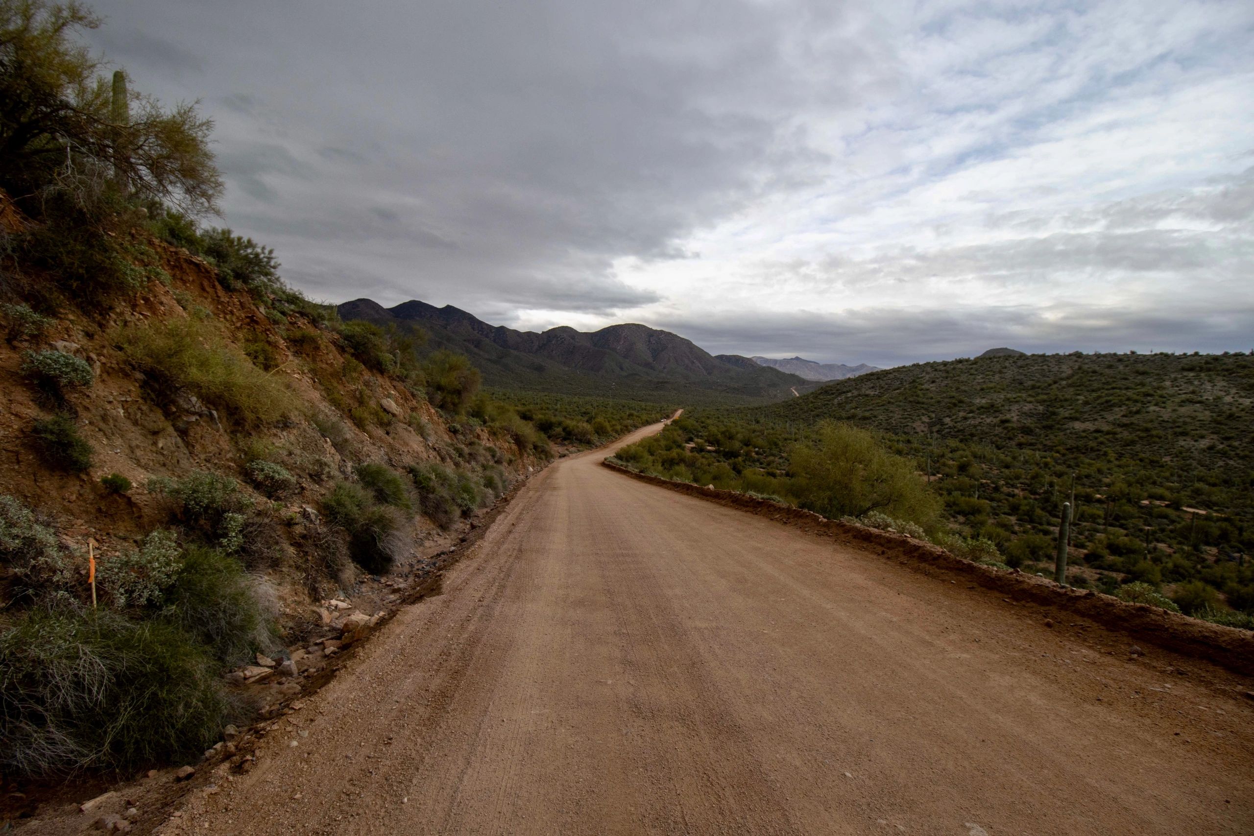 Arizona roadway and desert landscape